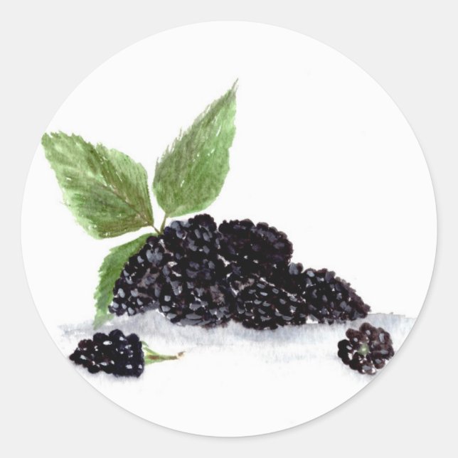 Sticker Rond Mûres fruits aquarelle baies nourriture (Devant)