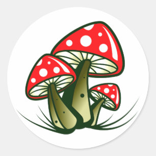 Sticker Rond Mycoses