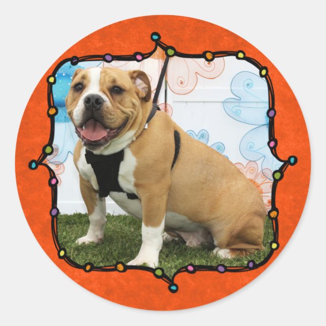 Sticker Rond Mylo - Bulldog anglais (Devant)
