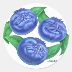 Sticker Rond myrtille
