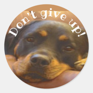 Sticker Rond N’abandonnez pas le chevalet rond Rottweiler class