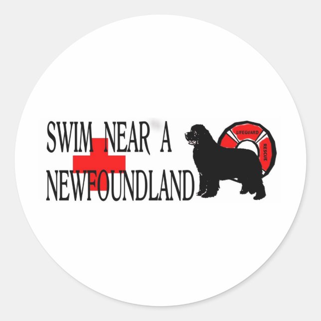 Sticker Rond Nager près d'un Terre-Neuve (Devant)
