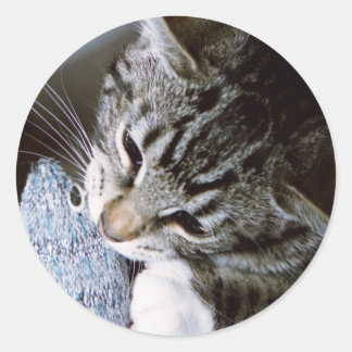 Sticker Rond nancy avec souris