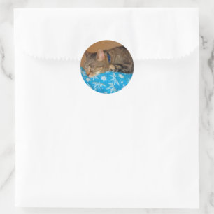 Sticker Rond Nap Heure Pour Indigo