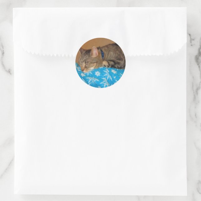 Sticker Rond Nap Heure Pour Indigo (Sac)