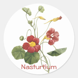 Sticker Rond Nasturtium