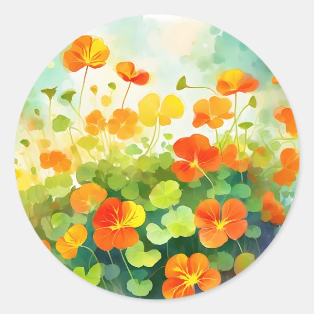 Sticker Rond Nasturtium Floral été (Devant)