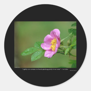 Sticker Rond Nature De L'Amour Rose Sauvage Tempête De Printemp