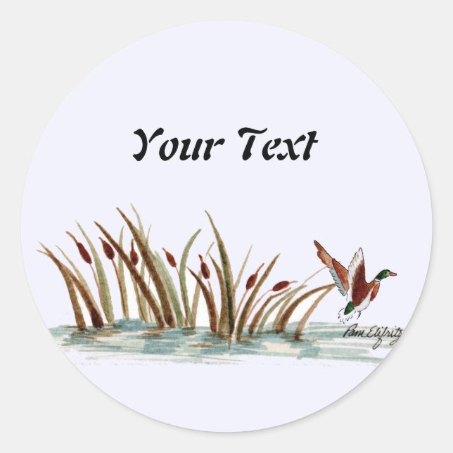 Sticker Rond Nature paisible Mallard Canard Scène 2 (Devant)