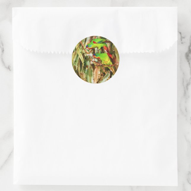 Sticker Rond Nature tropicale Parrots Oiseaux verts (Sac)