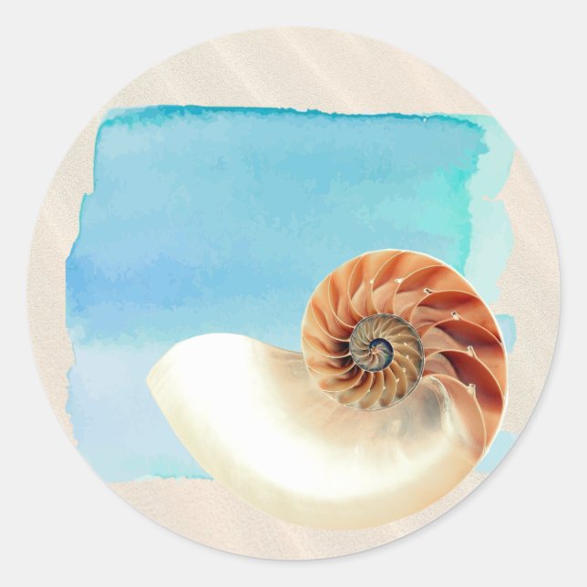 Sticker Rond Nautilus Coquillage et sable (Devant)