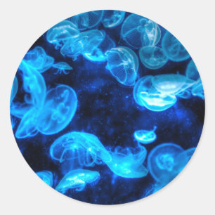 Sticker Rond Nautique Blue Jellyfish Marine Life