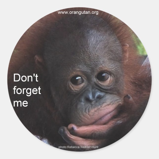 Sticker Rond Ne m'oublie pas (Primate Baby) (Devant)