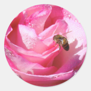Sticker Rond Nectar doux après une douche de pluie légère,