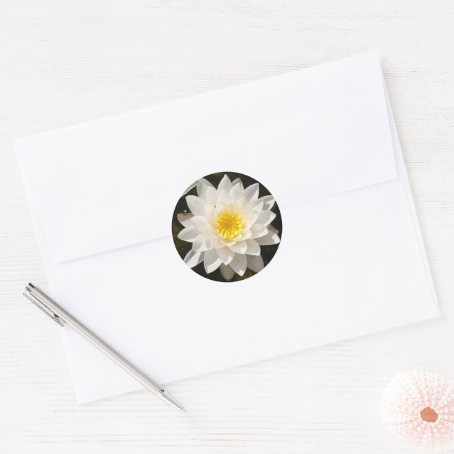 Sticker Rond Nénuphar Blanc Flottant Lotus (Enveloppe)