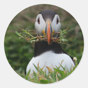 Sticker Rond Nest Builder Puffin