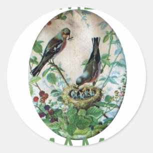 Sticker Rond Nest of Joy : L'amour du jeune esprit nourdissant