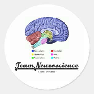 Sticker Rond Neuroscience d'équipe (Attitude d'anatomie cérébra