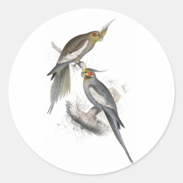 Sticker Rond New Holland Parrakeet par Edward Lear (Devant)