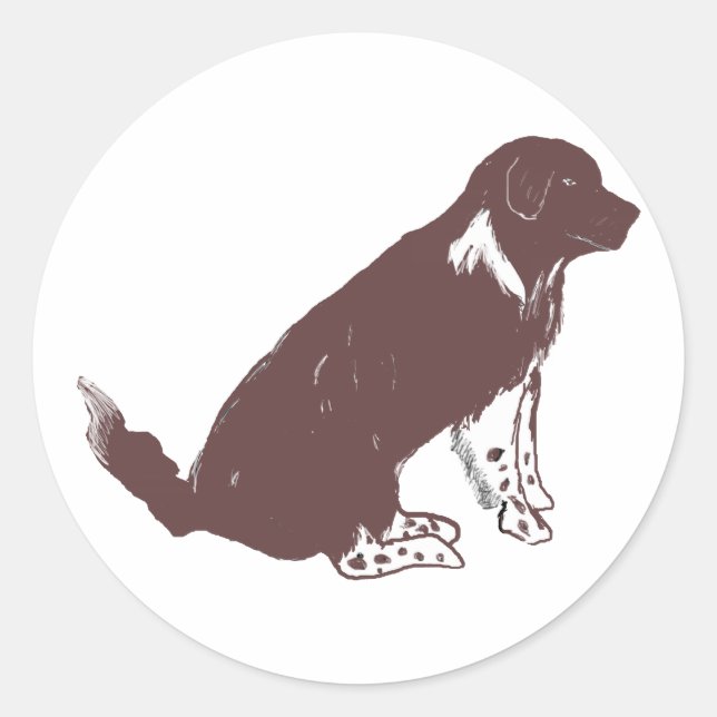 Sticker Rond newfie Brown et blanc (Devant)