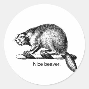 Sticker Rond NICE BEAVER -.png