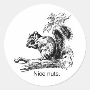 Sticker Rond NICE NUTS -.png