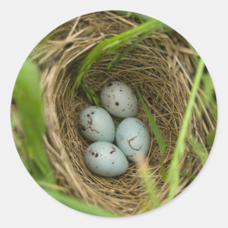 Sticker Rond Niché d'oeufs