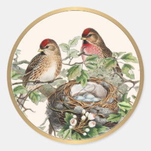 Sticker Rond Nid d'oiseau Tarin des aulnes Printemps Nature Cad