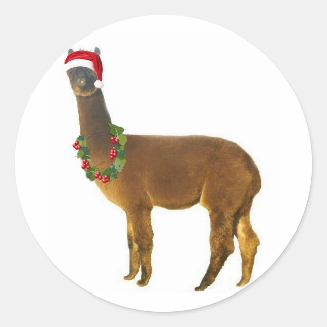Sticker Rond Noël Alpaca (Devant)