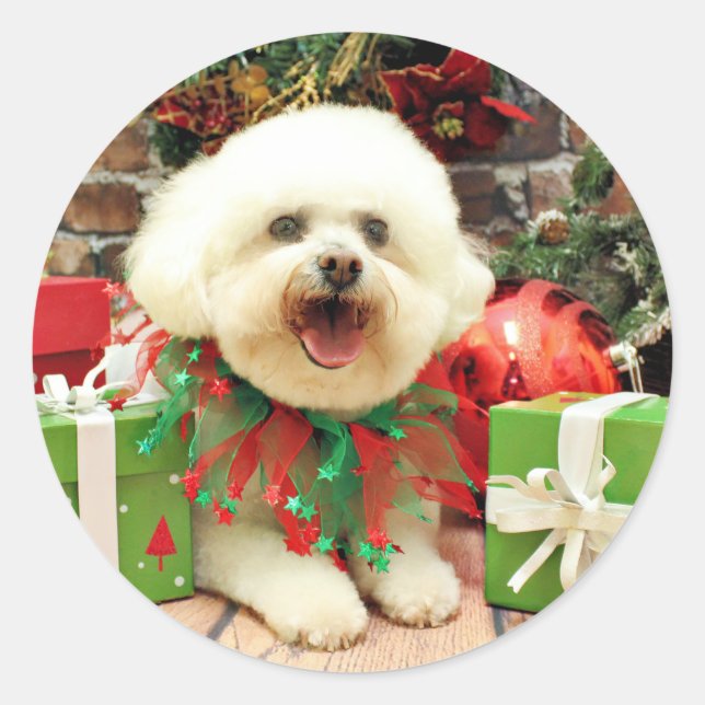 Sticker Rond Noël - Bichon Frise - Mori (Devant)