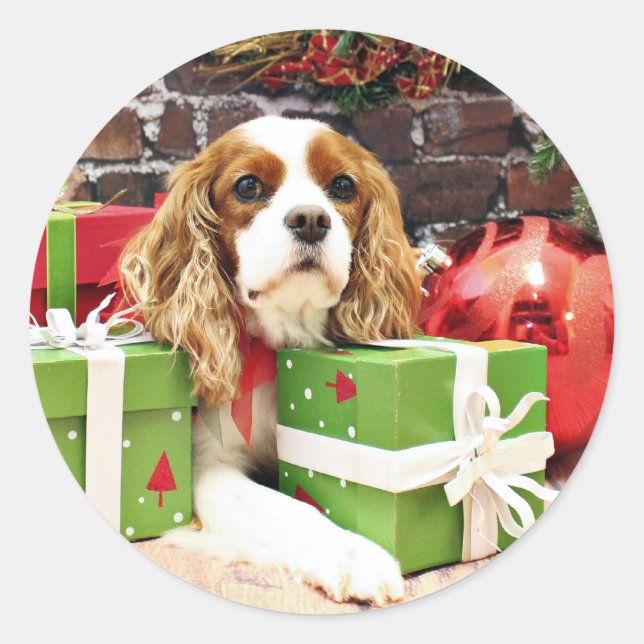 Sticker Rond Noël - Cavalier King Charles Spaniel - Poppy (Devant)