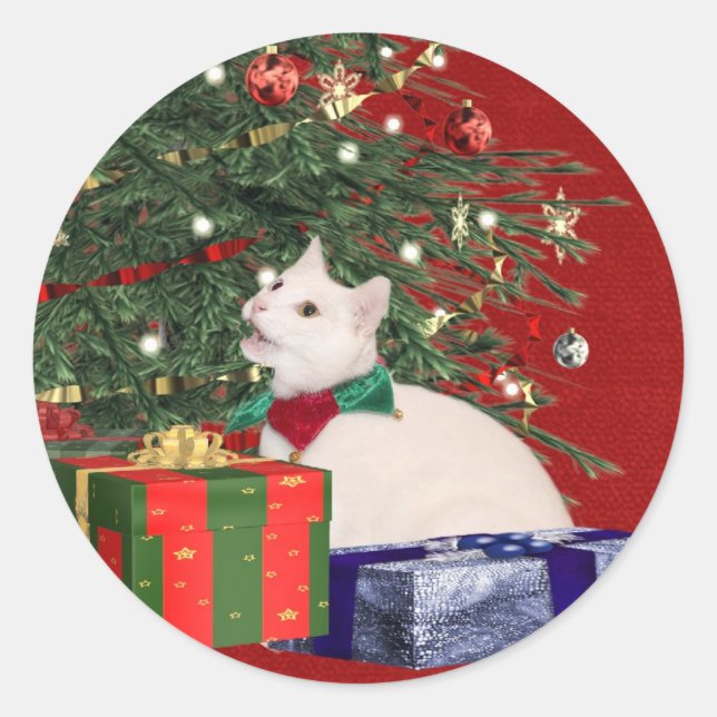 Sticker Rond Noël chaton blanc (Devant)