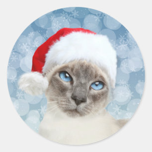 Sticker Rond Noël de chat siamois