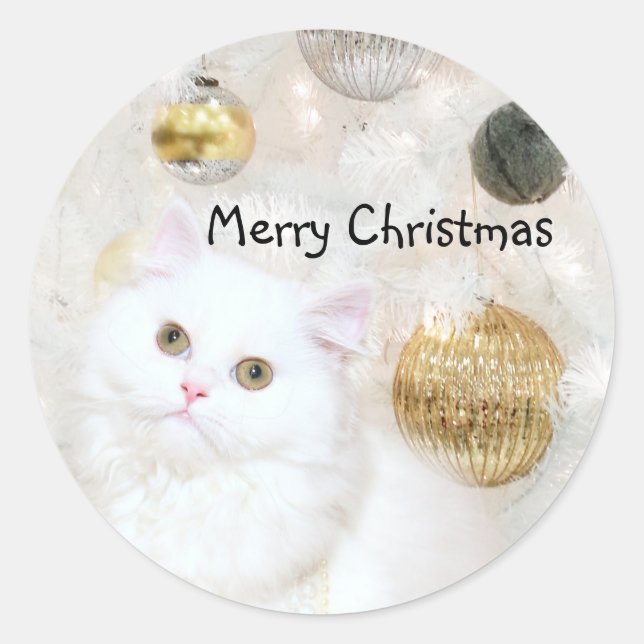 Sticker Rond Noël de chaton perse blanc (Devant)