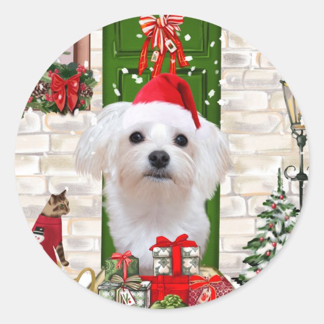 Sticker Rond Noël de chien maltais (Devant)