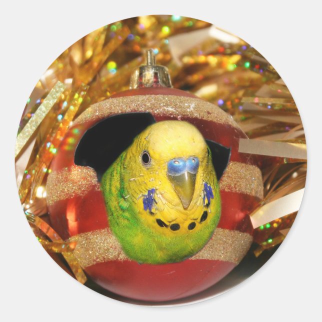 Sticker Rond Noël de la perruche (Devant)