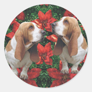 Sticker Rond Noël de poinsettia de Basset Hound