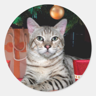 Sticker Rond Noël des chats du Bengale