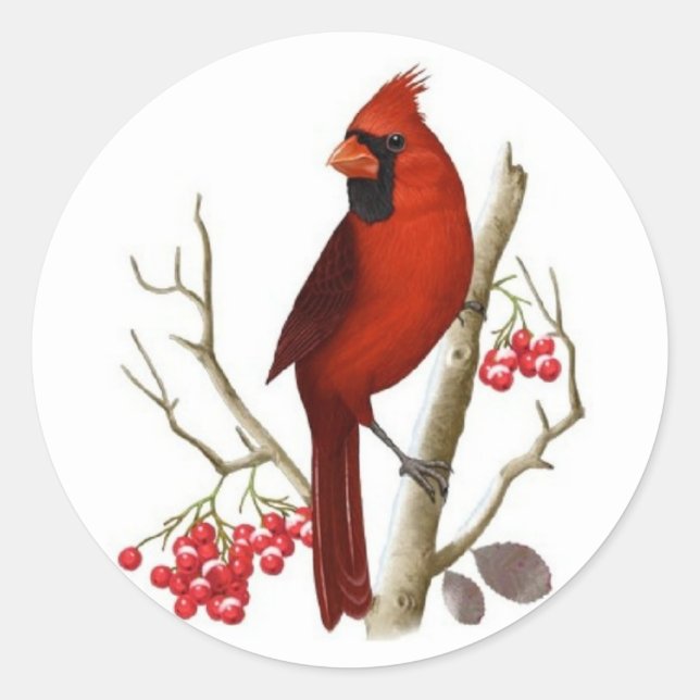 Sticker Rond Noël du cardinal rouge (Devant)