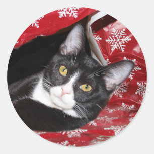 Sticker Rond Noël du chat de Tuxedo