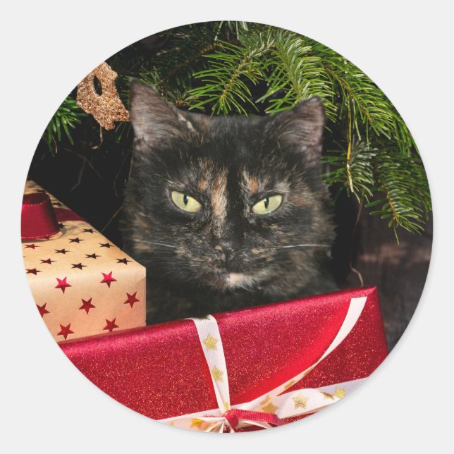 Sticker Rond Noël du chat Toristeshell (Devant)