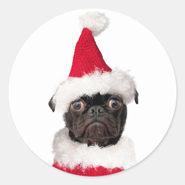 Sticker Rond Noël Festif mignon Carlin noir Chiot Père Noël (Devant)