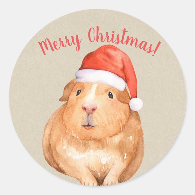 Sticker Rond Noël Hamster Cochon d'Inde Pays Fêtes (Devant)