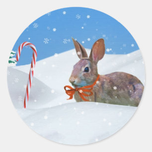 Sticker Rond Noël, Lapin, Neige, Sucres de canne