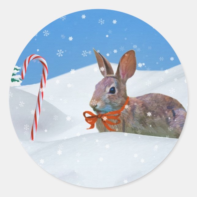 Sticker Rond Noël, Lapin, Neige, Sucres de canne (Devant)