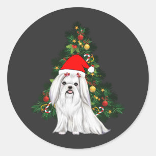 Sticker Rond Noël maltais, Noël Chien maltais de Noël avec chap