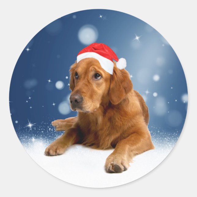 Sticker Rond Noël Mignonne Golden Retriever Chien Santa Hat Nei (Devant)