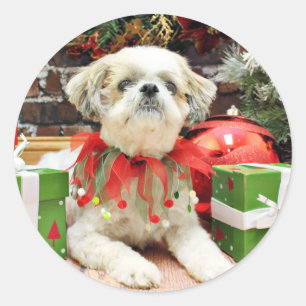 Sticker Rond Noël - Shih Tzu - Bailey