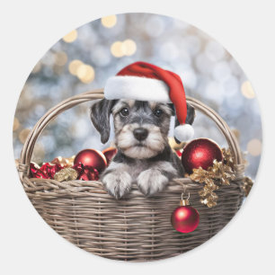 Sticker Rond Noël Vacances Cute Schnauzer Puppy
