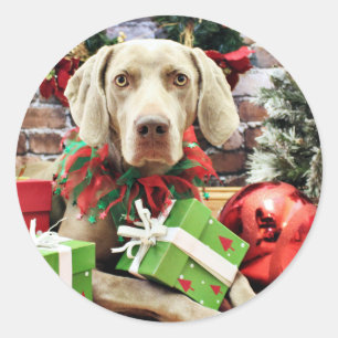 Sticker Rond Noël - Weimaraner - Lucy